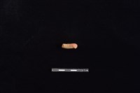 陶把藏品圖，第2張